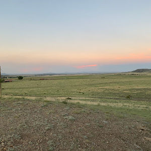 Meet your Posher, Logan